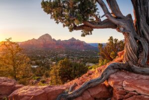 Golden hour over Sedona's red rock formations, seen through a juniper, the view first-time visitors come for